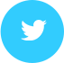 twitter-icon